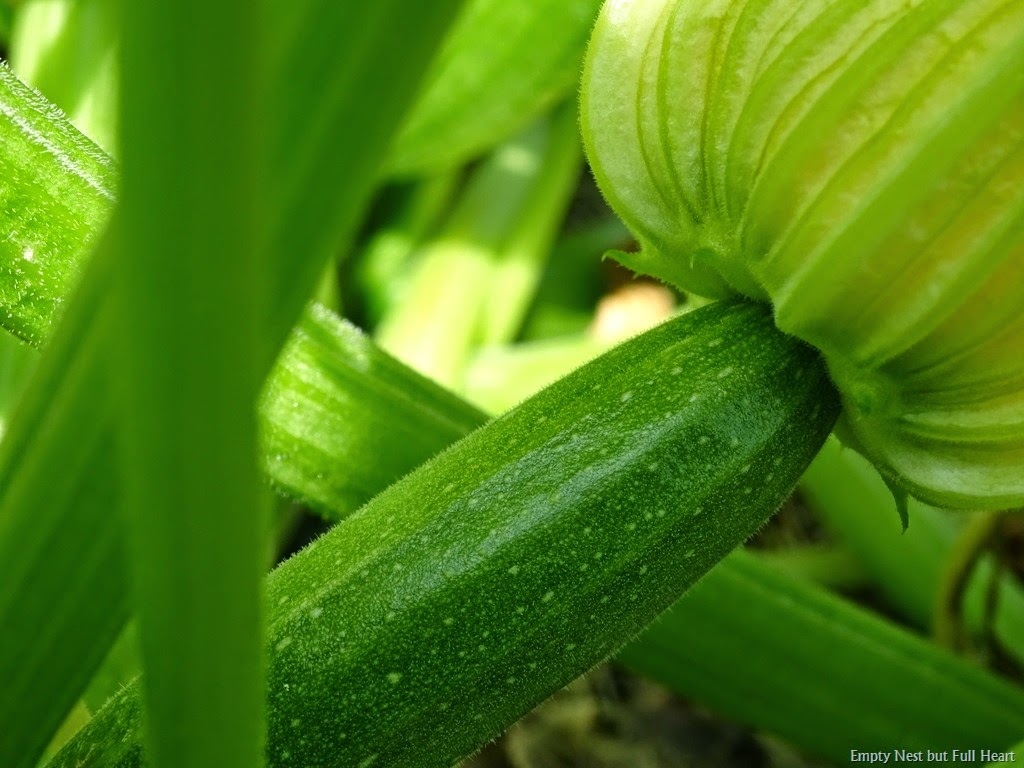 [DSC00003%255B3%255D.jpg]