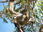 P1020123.JPG