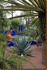 marrakech majorelle vista