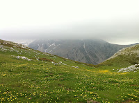 IMG_1336.JPG