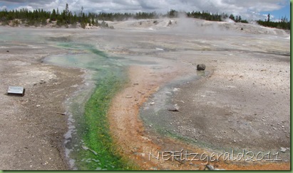 IMG_6947Runoff FromPinwheel Geyser IMG_6947Runoff FromPinwheel Geyser