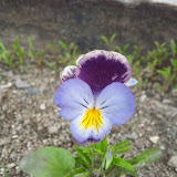 DSC_2421.JPG