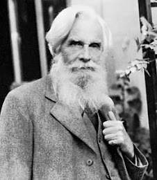 Havelock Ellis Author 2
