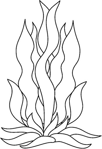 Line Drawing Kelp : Algas dibujos para colorear