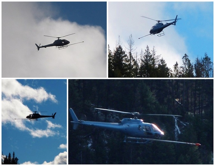[Collage-Helicopter_tn1.jpg]