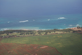 DSC_0651.JPG