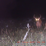 ICAM0053.JPG