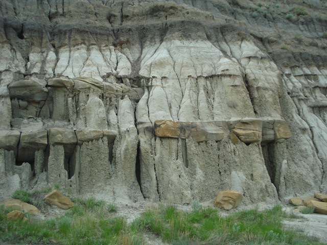 [DSC07446%255B1%255D.jpg]