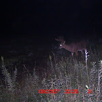 ICAM0038 (4).JPG