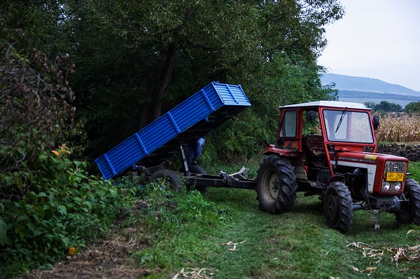 05.jpg