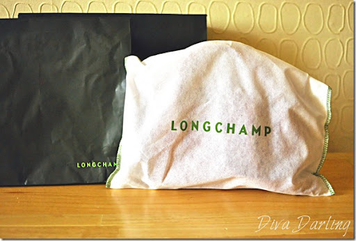 dust bag longchamp