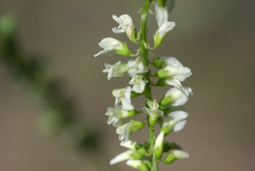 20120624_76