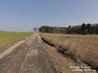 dsc06822.jpg