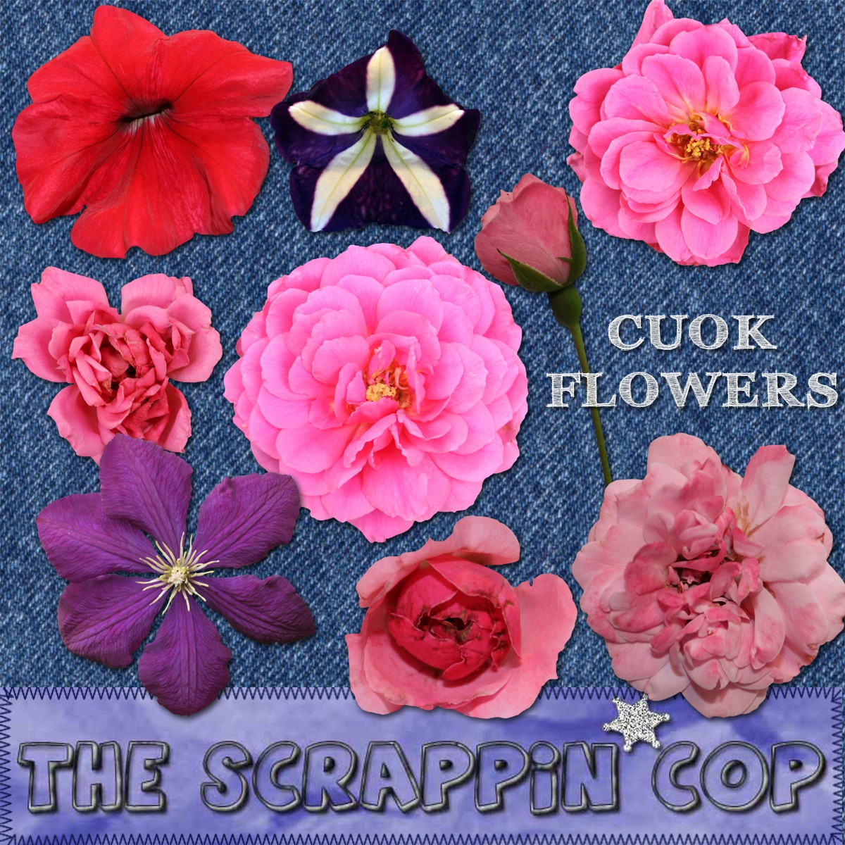[SC_CU2011SpringFlowers%255B5%255D.jpg]