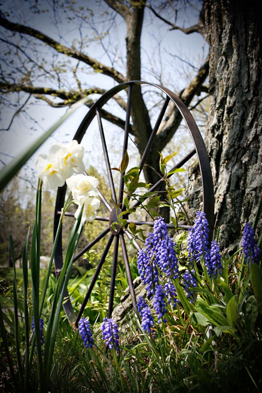 [FlowersWheel%255B4%255D.jpg]