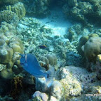 l040.jpg