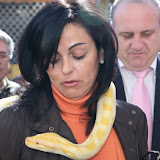 Diputada estrechando lazos con la fauna del Mercado Medieval, no parece muy convencida.