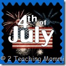 4th of July Button