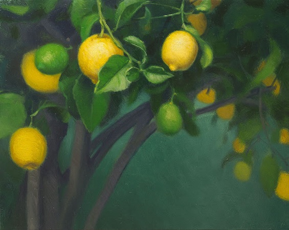 lemon tree 01 1k