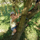 DSC03179.JPG