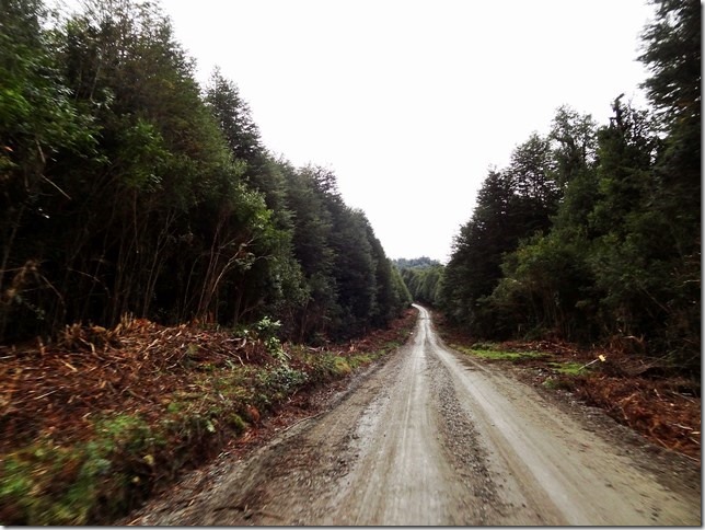 Carretera_Austral_DSC01573