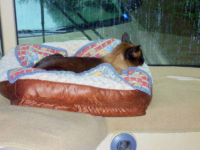 [P1020116-1%255B4%255D.jpg]