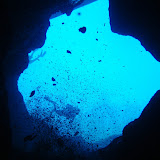 Morrison Springs
