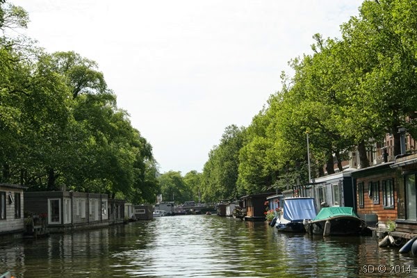 IMG_7196 IMG_7196
