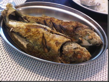 IMG00680-20111216-1321