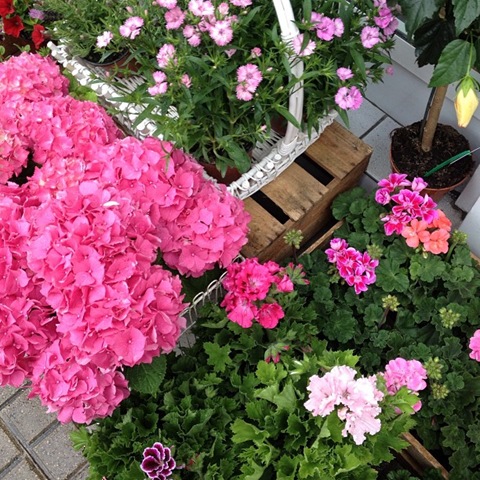 [ES%2520PRIMAVERA.jpg]