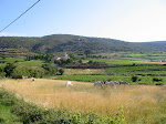 Vue sur le Barry