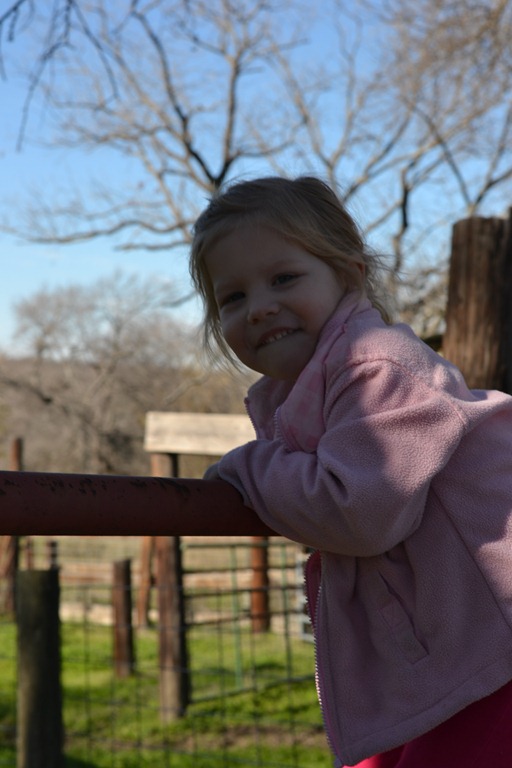 [DSC_1263%255B7%255D.jpg]