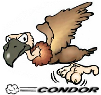 condor logo condor logo