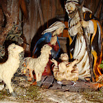 1435-3.JPG