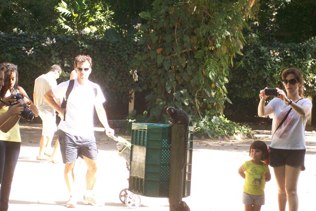 [JARDIM%2520BOT%25C3%2582NICO%2520%25284%2529%255B2%255D.jpg]