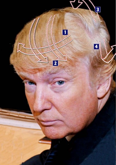 [comb_overs_36%255B2%255D.jpg]