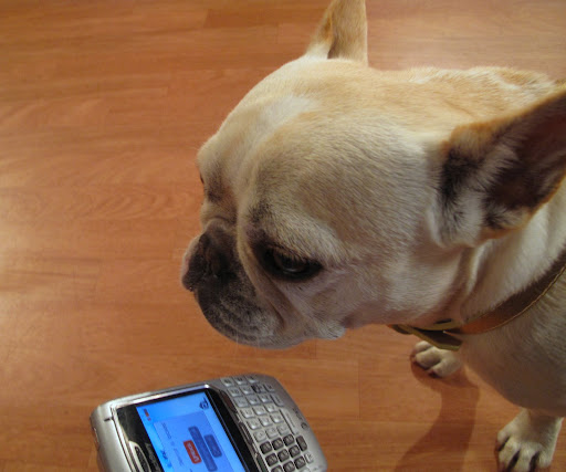 Great - an intermission break - Let's see if my friends sent me any comments - time to check the Barkberry.