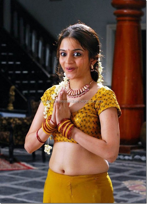 Hot-actress-Sheena-Shahabadi-hot-navel-picture