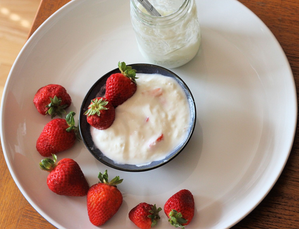 [how_to_make_your_own_yogurt%255B9%255D.jpg]