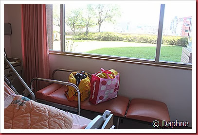 IMG_3962 IMG_3962