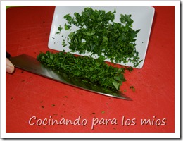 DSCN0717 DSCN0717