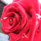 DSCF1112.JPG