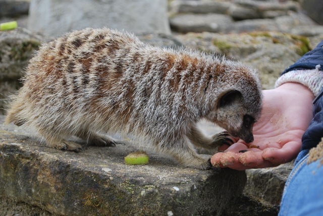 [DSC_0434%255B3%255D.jpg]