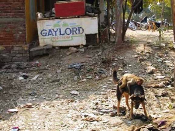 Image Dimension: 512x385 :: In India, every problem has a Solution :) In India, every problem has a Solution :)