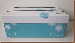 IMG_2839-1