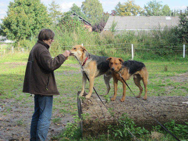 [IMG_0919%255B3%255D.jpg]