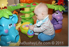 IMG_0178 IMG_0178