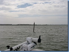 7915 private boat charter with Capt. Ron Presley  and his wife Karen - Banana River, Florida - Cormorant