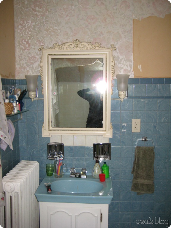 IMG_7446 IMG_7446