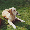1991 (219).jpg